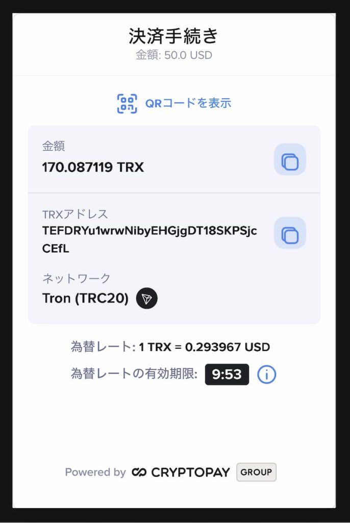 ノーリミットカジノ 入金方法4