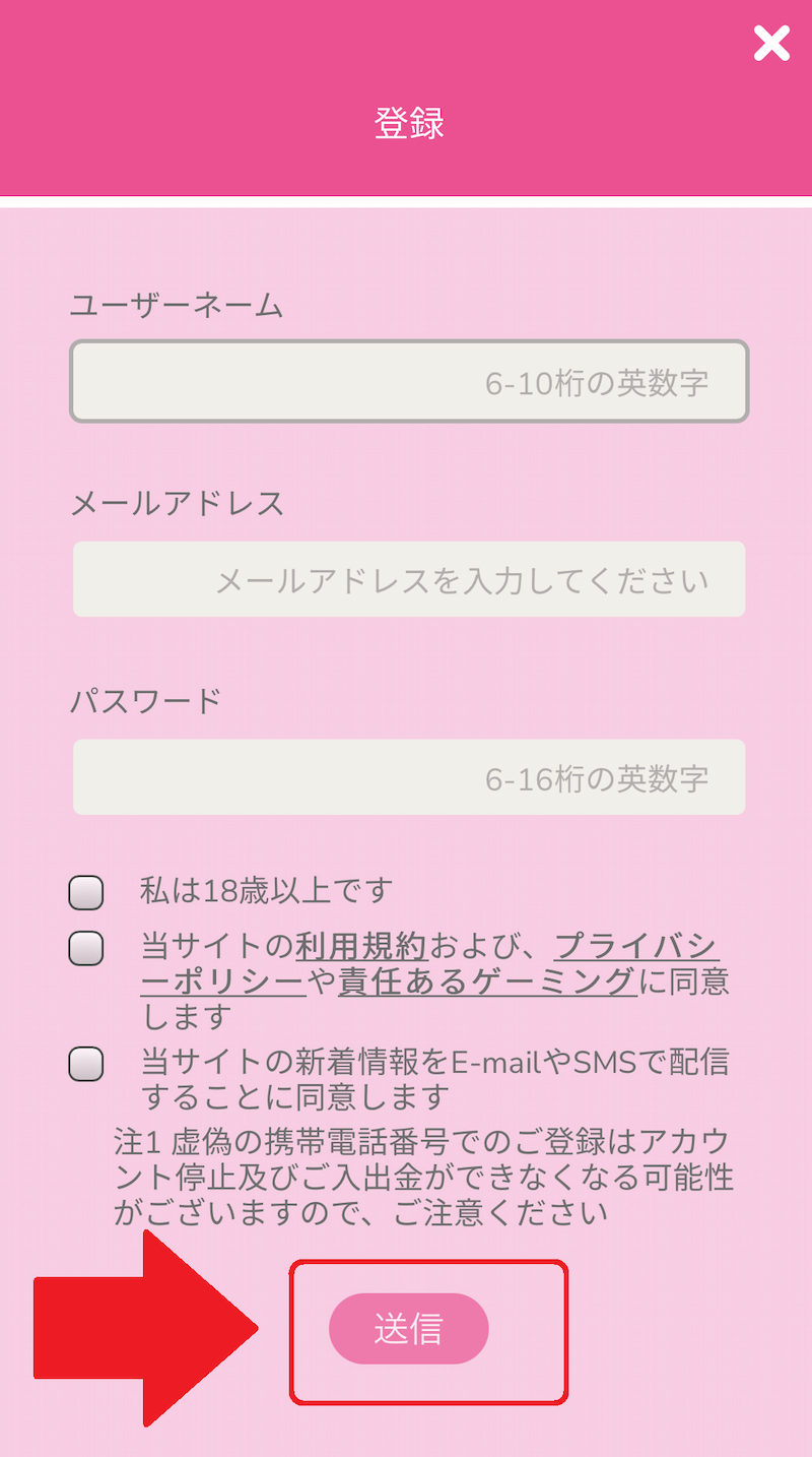 EASY Planの場合のアカウント登録画面