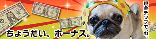 ちょうだいボーナス